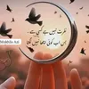 aqib.aqibmajeed