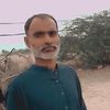 gul.hassan7037