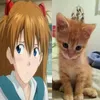 debilkaioy
