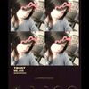 far.han5627