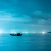 seasea.oday