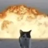 Y'