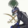 akani_50