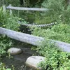 nickerchen.44