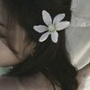 user.maraxm
