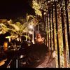 ammar_solangi