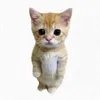 trananhthusiu_cute
