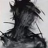 z._v.12