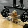 ntlmz29