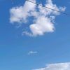 nebi_18