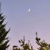 amina_ss26