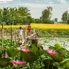 nhuttrung1808