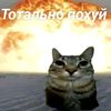 rasha_ono