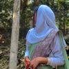 rokiewife