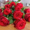 user5162270333118
