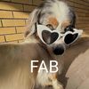 ilovdogs4ever
