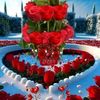 user5981882261436