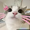 mrtynx4