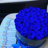 lolo_mohmed03
