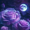 user5881672067077