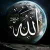 user3028281969663