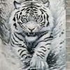 oyentiger5