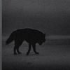 youssef.ghabri4