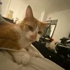 george.tillss