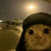 cat_with_jet