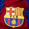 visca_barca4607