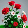 rasool.dan6