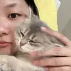 shancai kitty