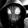 spiderrrrrrrrrr3