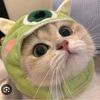 pwetty_faa