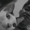 mdaffarizkynugrah