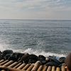 kyy44._