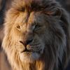 tiktok.mufasa