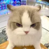 BaBy ASMR