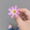 romanrmhe34