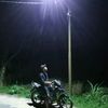 mx_kumbang1422000