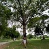 basit.ali5804
