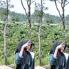 melluyy0