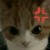po.no.ok.kohome