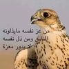 user6122883754366