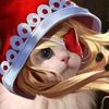 smt_229