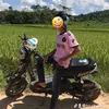 bo.chu4423