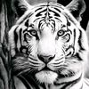 elxhatiger