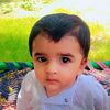 saifshakeel8