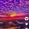 splendid8542