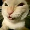 _henry_547